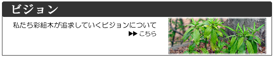 ビジョン